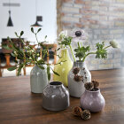 KÄHLER - BOTANICA VASER MINI 5 STK