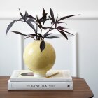 KÄHLER - UNICO VASE H170 OKKERGUL