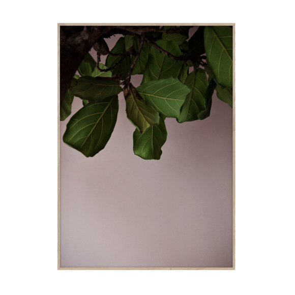 PAPER COLLECTIVE - GREEN LEAVES 50X70 PLAKAT