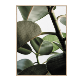 PAPER COLLECTIVE - GREEN HOME 03 50X70 PLAKAT