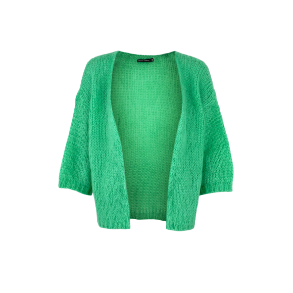 BLACK COLOUR - APPLE GREEN BCCASEY CARDIGAN