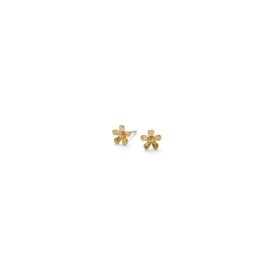 PERNILLE CORYDON - Mini Wild Poppy Earsticks