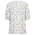 FREEQUENT - STAR OFF W GOLDEN HAZE FQMOLLI