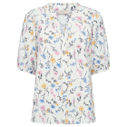 FREEQUENT - STAR OFF W GOLDEN HAZE FQMOLLI